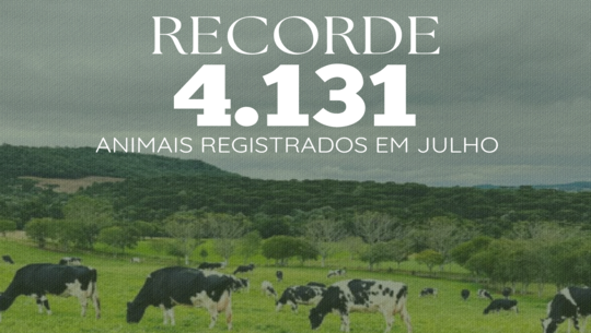 Julho de 2025 entra para a história da APCBRH com recorde de registros genealógicos